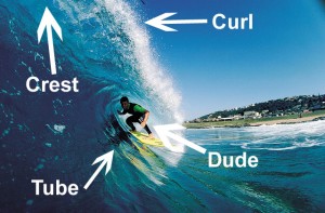 surf lingo for cool dude
