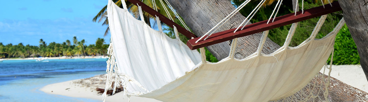 banner_image-1