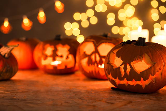 Alles rund um Halloween